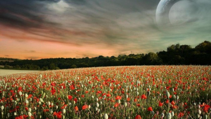 网传广东怀集洪水后赵一鸣超市被哄抢，县***回应相关单位正在核实，若属实哄抢者该承担哪些法律责任？